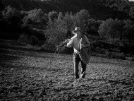 Xavier Serra